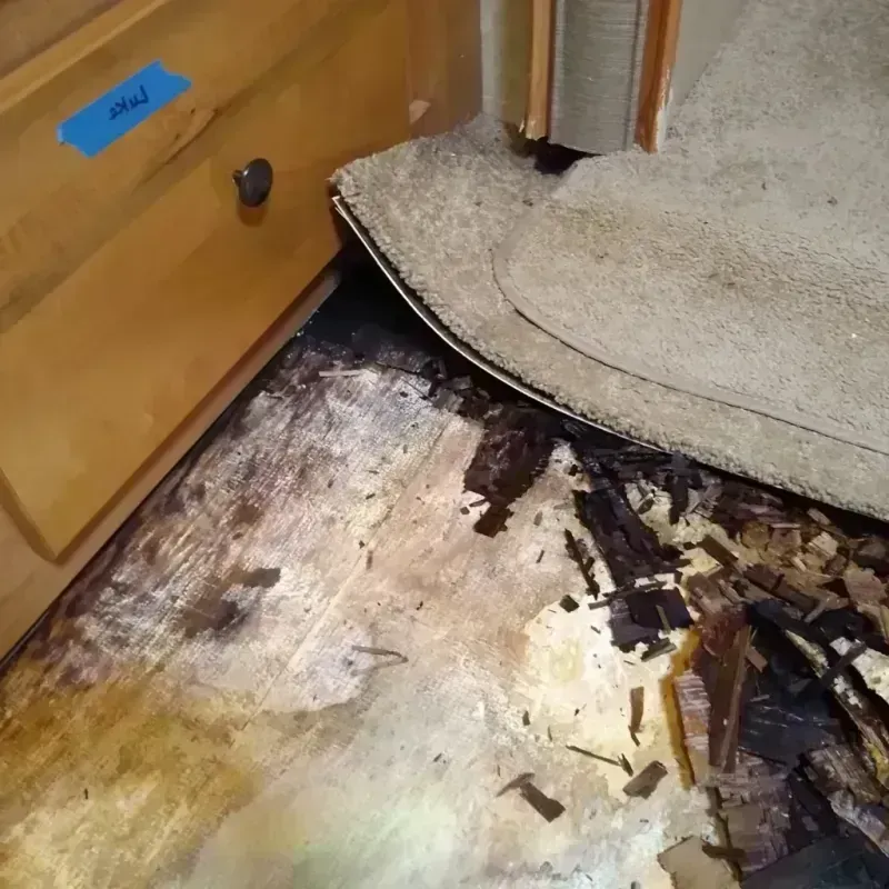 Wood Floor Water Damage in Villa Park, IL